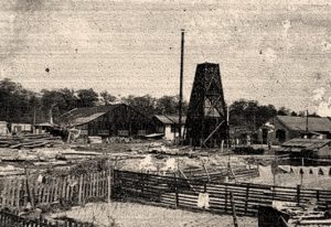SEF 1920